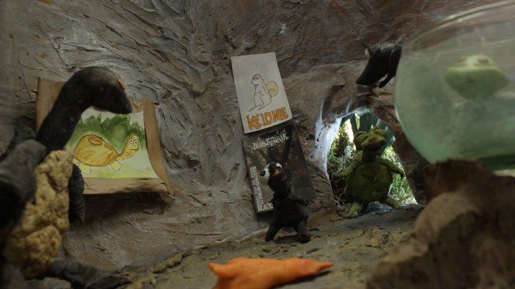 la jeune trachemys fait son entrée chez les cistudes