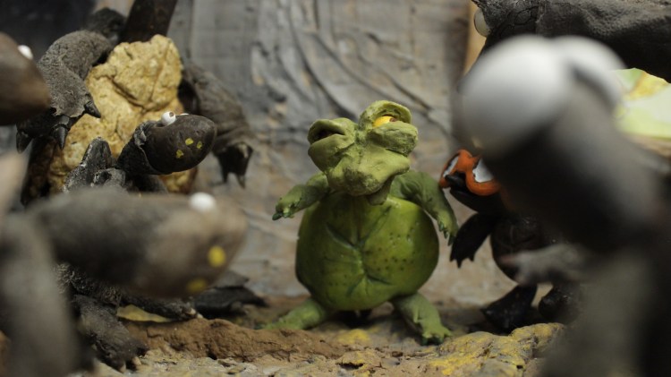 la jeune trachemys intrigue les cistudes